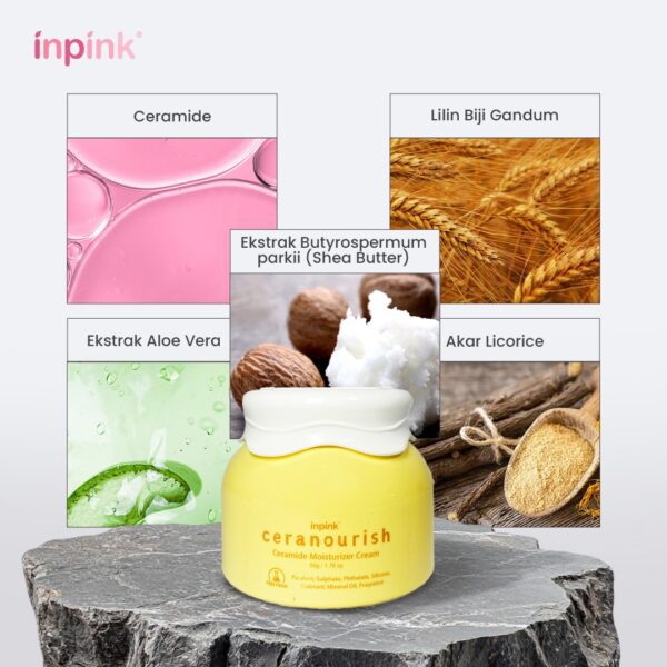 WhatsApp Image 2025-06-26 at 12.15.18 PM WhatsApp Image 2025-06-26 at 12.15.18 PM